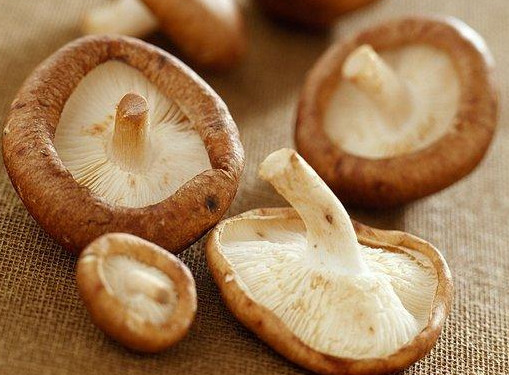 干香菇為什么比鮮香菇味道好？香菇為什么要曬干了再泡來(lái)吃