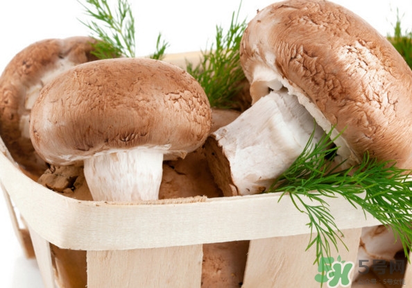 買香菇怎么挑選？干香菇怎么挑選？