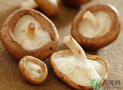 買香菇怎么挑選？干香菇怎么挑選？