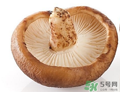 什么病不能吃香菇？香菇不能和什么一起吃