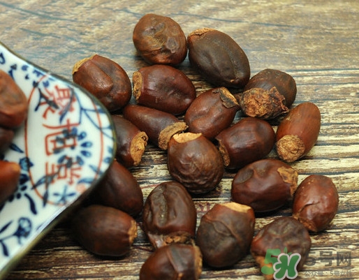 龍眼核能種嗎？龍眼核怎么種盆栽