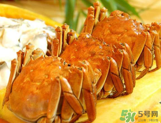 六月黃多少錢一斤？六月黃怎么挑選？