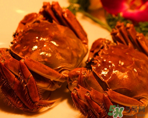 六月黃大閘蟹好吃嗎？六月黃和大閘蟹有什么區(qū)別？