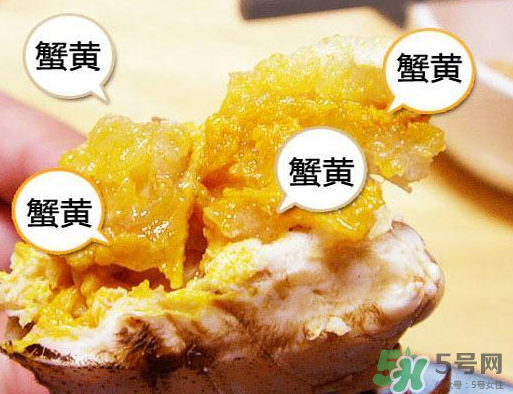 六月黃大閘蟹好吃嗎？六月黃和大閘蟹有什么區(qū)別？