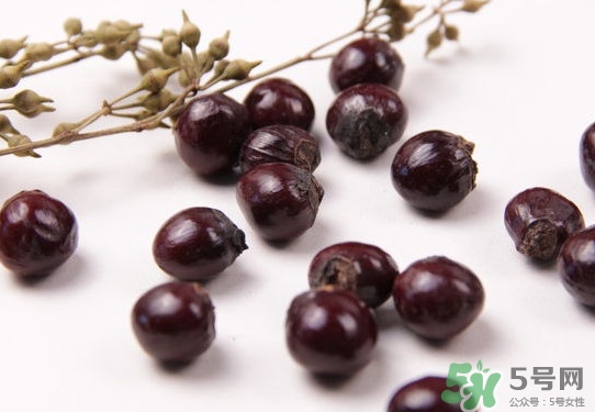 龍眼核能種嗎？龍眼核怎么種盆栽