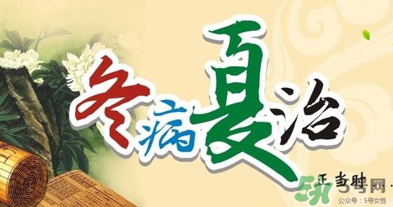 三伏灸要灸幾次？三伏灸要灸多久？