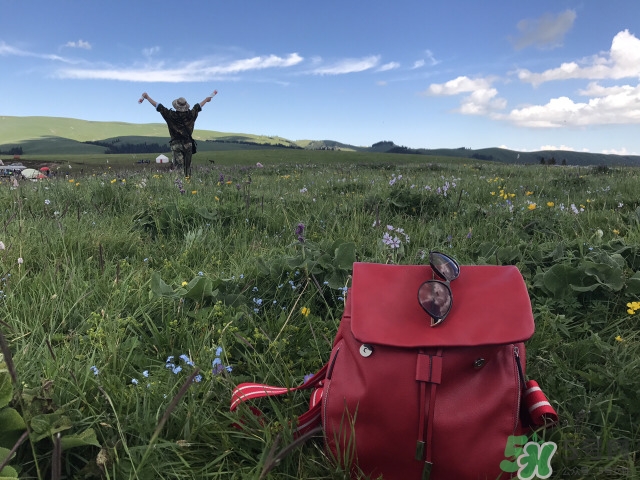 去新疆旅游攻略 去新疆旅游推薦路線 去新疆旅游攻略 去新疆旅游推薦路線