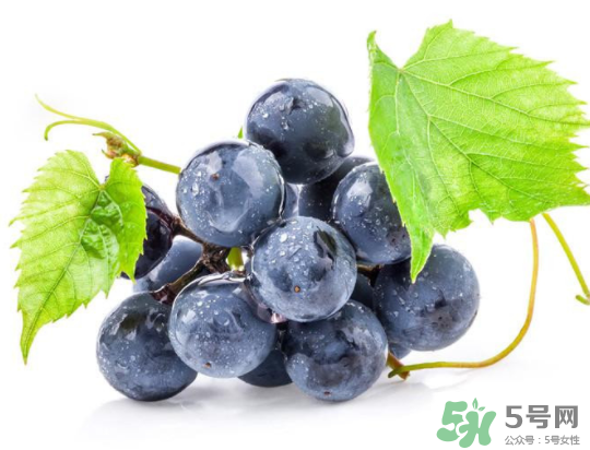 夏黑葡萄為什么掉色？夏黑葡萄怎么會(huì)染色？