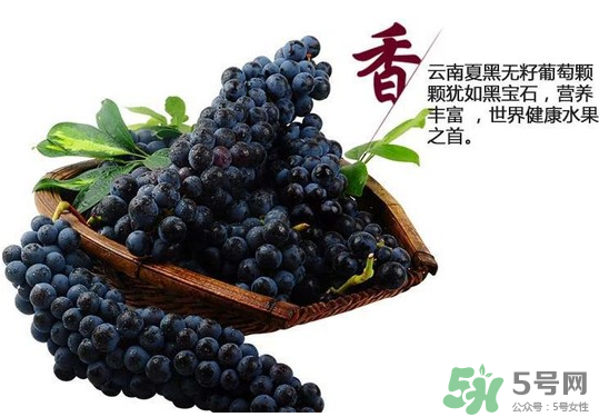 夏黑葡萄怎么保存？夏黑葡萄可以放冰箱嗎？