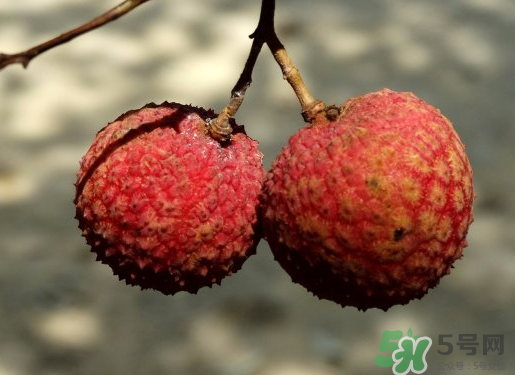 七月份還有荔枝嗎？7月份還有荔枝嗎？                                                                                                                                                                                                                                                                                                                                                                                                                                                                                                                                                                                                                                                                                                                                                                                                                                                                                                                                                                                                                                                                                                                                                                                                                                                                                                                                                                                                                                                                                                                                                                                                                                                                                                                                                                                                                                                                                                                                                                                                                                                                                                                                                                                                                                                                                                                                                                                                                                                                                                                                                                                                                                                                                                                                                                                                                                                                                                                                                                                                                                                                                                                                                                                                                                                                                                                                                                                                                                                                                                                                                                                                                                                                                                                                                                                                                                                                                                                                                                                                                                                                                                                                                                                                                                                                                                                                                                                                                                                                                                                                                                                                                                                                                                                                                                                                                                                                                                                                                                                                                                                                                                                                                                                                                                                                                                                                                                                                                                                                                                                                                                                                                                                                                                                                                                                                                                                                                                                                                                                                                                                                                                                                                                                                                                                                                                                                                                                                                                                                                                                                                                                                                                                                                                                                                                                                                                                                                                                                                                                                                                                                                                                                                                                                                                                                                                                                                                                                                                                                                                                                                                                                                                                                                                                                                                                                                                                                                                                                                                                                                                                                                                                                                                                                                                                                                                                                                                                                                                                                                                                                                                                                                                                                                                                                                                                                                                                                                                                                                                                                                                                                                                                                                                                                                                                                                                                                                                                                                                                                                                                                                                                                                                                                                                                                                                                                                                                                                                                                                                                                                                                                                                                                                                                                                                                                                                                                                                                                                                                                                                                                                                                                                                                                                                                                                                                                                                                                                                                                                                                                                                                                                                                                                                                                                                                                                                                                                                                                                                                                                                                                                                                                                                                                                                                                                                                                                                                                                                                                                                                                                                                                                                                                                                                                                                                                                                                                                                                                                                                                                                                                                                                                                                                                                                                                                                                                                                                                                                                                                                                                                                                                                                                                                                                                                                                                                                                                                                                                                                                                                                                                                                                                                                                                                                                                                                                                                                                                                                                                                                                                                                                                                                                                                                                                                                                                                                                                                                                                                                                                                                                                                                                                                                                                                                                                                                                                                                                                                                                                                                                                                                                                                                                                                                                                                                                                                                                                                                                                                                                                                                                                                                                                                                                                                                                                                                                                                                                                                                                                                                                                                                                                                                                                                                                                                                                                                                                                                                                                                                                                                                                                                                                                                                                                                                                                                                                                                                                                                                                                                                                                                                                                                                                                                                                                                                                                                                                                                                                                                                                                                                                                                                                                                                                                                                                                                                                                                                                                                                                                                                                                                                                                                                                                                   月份還有荔枝嗎？