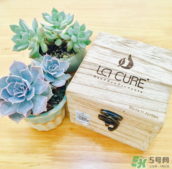 天然死海礦物泥面膜怎么樣？天然死海礦物泥面膜好用嗎？