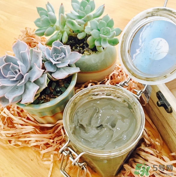 天然死海礦物泥面膜怎么樣？天然死海礦物泥面膜好用嗎？