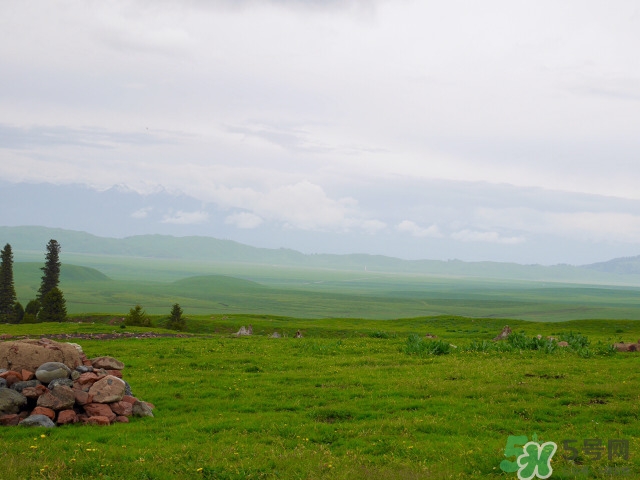 去新疆旅游攻略 去新疆旅游推薦路線 去新疆旅游攻略 去新疆旅游推薦路線