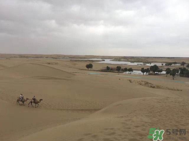 去新疆旅游攻略 去新疆旅游推薦路線 去新疆旅游攻略 去新疆旅游推薦路線