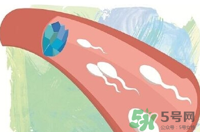 男性避孕藥什么牌子好？男性避孕藥多少錢一盒？