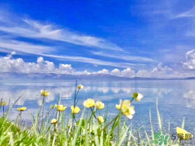 去新疆旅游攻略 去新疆旅游推薦路線 去新疆旅游攻略 去新疆旅游推薦路線