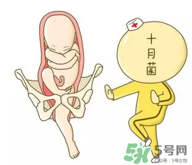 胎位不正能順產(chǎn)嗎？胎位不正怎么辦？