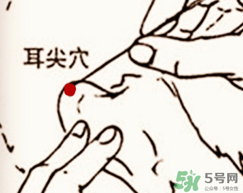 什么是放血療法？放血療法能治什么病