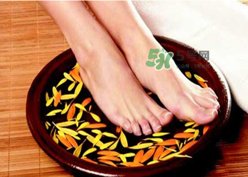 三伏天能用姜泡腳嗎？三伏天用姜泡腳好嗎？