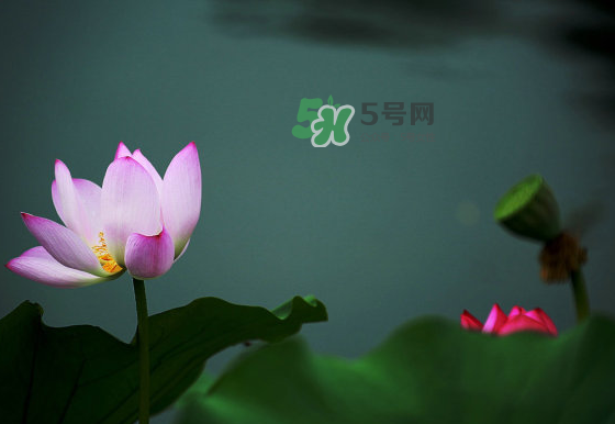 2017中伏最熱嗎？ 2017初伏中伏末伏哪個(gè)最熱？