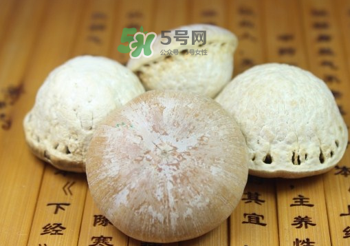 風流果泡酒要不要敲碎？壯陽果泡水要不要敲碎？