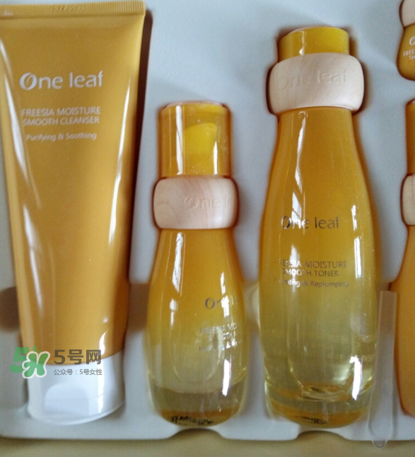 一葉子小蒼蘭系列多少錢(qián)?一葉子小蒼蘭套裝價(jià)格