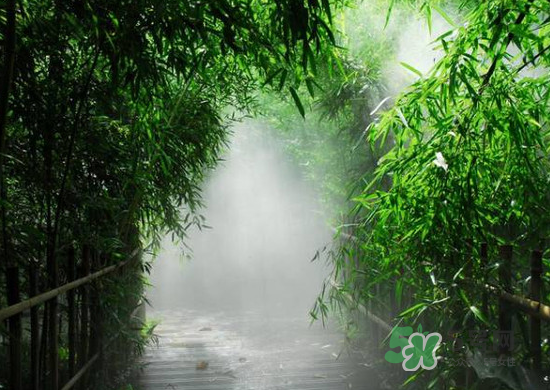 2017大暑會不會下雨？2017大暑下雨好嗎？