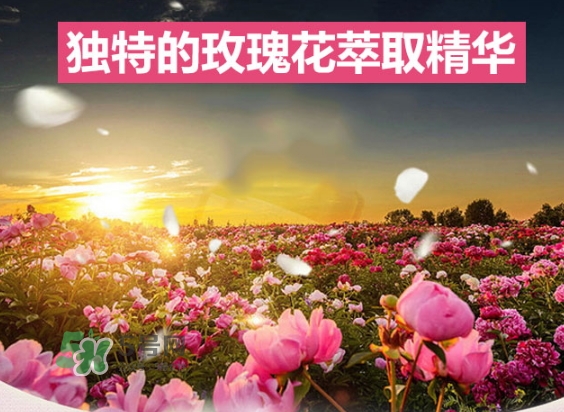 資生堂玫瑰園沐浴露怎么樣？資生堂玫瑰園沐浴露多少錢