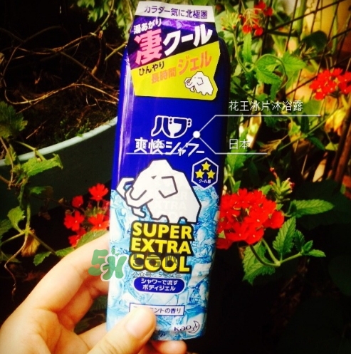 花王kao冰片沐浴露怎么樣？花王冰片沐浴露哪款好？