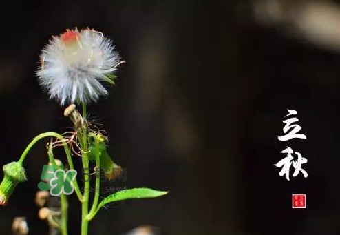 立秋后就是秋天了嗎？立秋后就涼快了嗎？