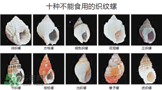 哪些人不能吃田螺？哪些田螺不能吃