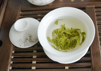 碧螺春是涼性的嗎？碧螺春是溫性還是涼性