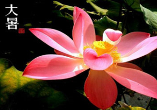 2017中伏最熱嗎？ 2017初伏中伏末伏哪個(gè)最熱？