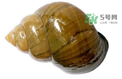 福壽螺是什么樣的？福壽螺和田螺的區(qū)別