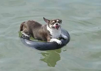 三伏天為什么會(huì)很熱？三伏天太熱怎么辦？