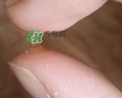 SKINCEUTICALS修麗可夜間精華怎么樣_好用嗎？