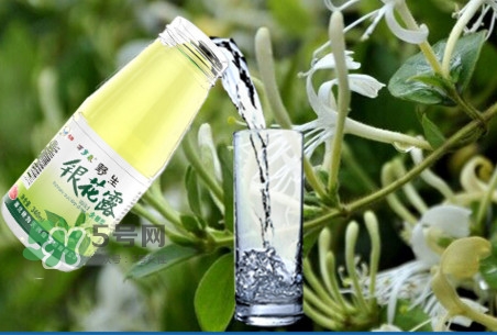 金銀花露是涼性的嗎？喝金銀花露有什么好處