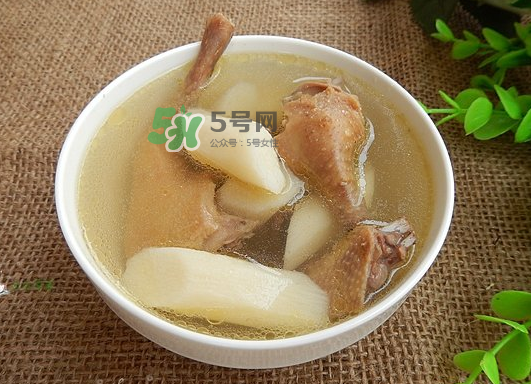 三伏天能吃鴿子嗎？三伏天能喝鴿子湯嗎？