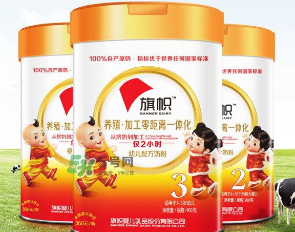 旗幟奶粉怎么樣？旗幟奶粉好不好？