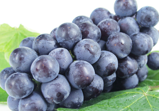 紅提好吃還是黑提好吃？黑提對身體有什么好處