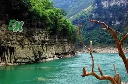 漂流需要準(zhǔn)備什么東西？漂流哪里最好玩？