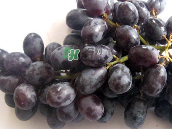 紅提好吃還是黑提好吃？黑提對身體有什么好處