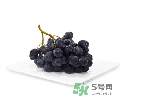 黑提有籽嗎？黑提是什么季節(jié)的水果