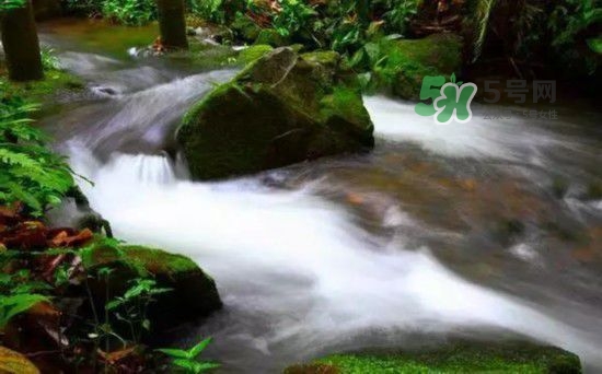 漂流需要準(zhǔn)備什么東西？漂流哪里最好玩？