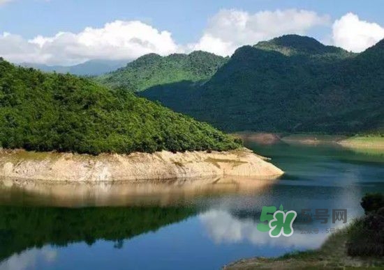 漂流需要準(zhǔn)備什么東西？漂流哪里最好玩？