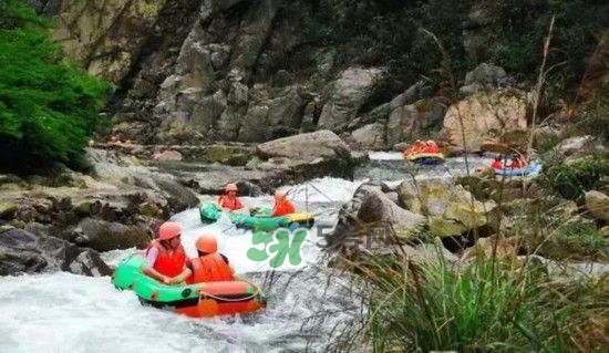 漂流需要準(zhǔn)備什么東西？漂流哪里最好玩？