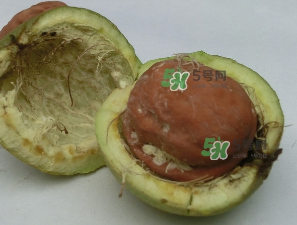 核桃最外面的青皮有什么用？為什么摸了核桃的青皮手會(huì)黑？