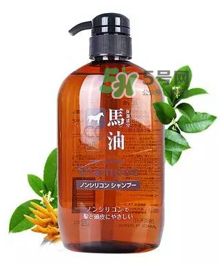 熊野馬油洗發(fā)水起頭屑嗎？KUMANO洗發(fā)水用完長(zhǎng)頭屑嗎？