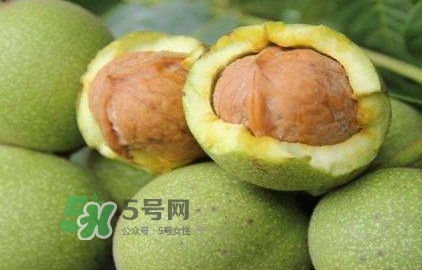 一斤青皮核桃退皮后剩多少？青皮核桃和普通核桃的區(qū)別