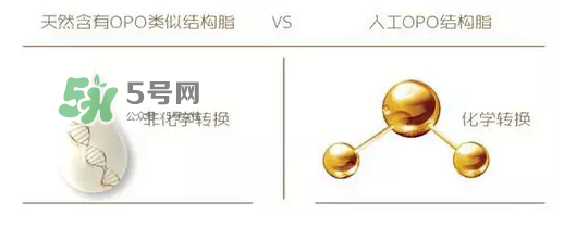 奶粉里面的OPO是什么？opo是天然的還是后期添加的？